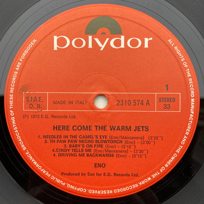 Here Come The Warm Jets