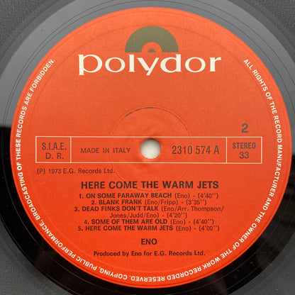 Here Come The Warm Jets