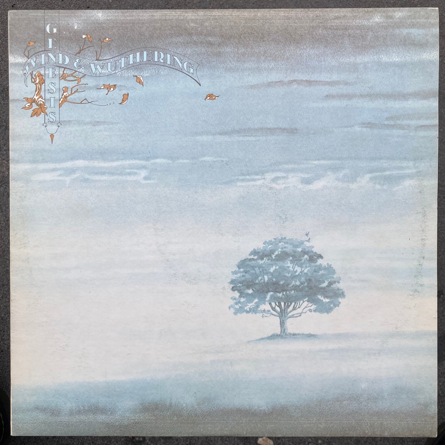 Wind & Wuthering