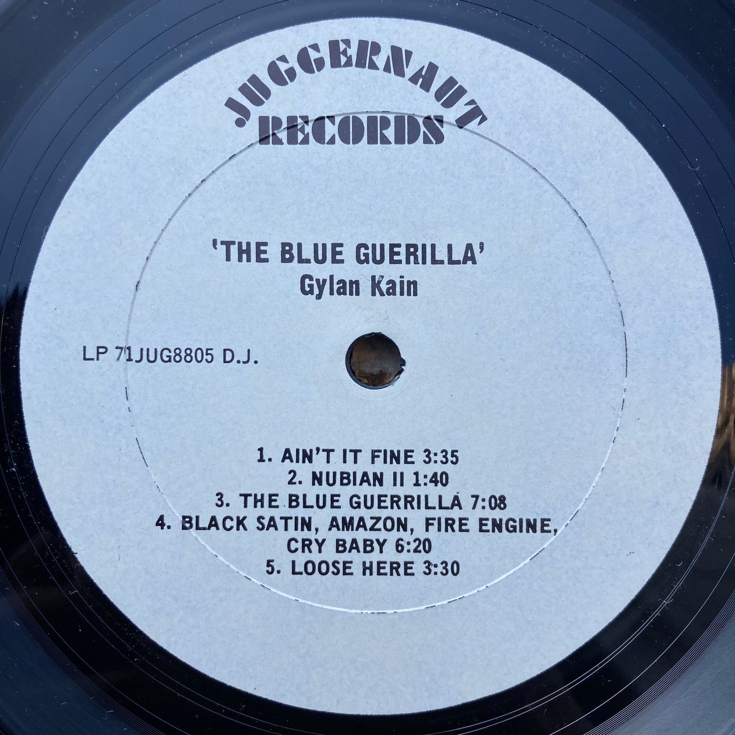 The Blue Guerrilla