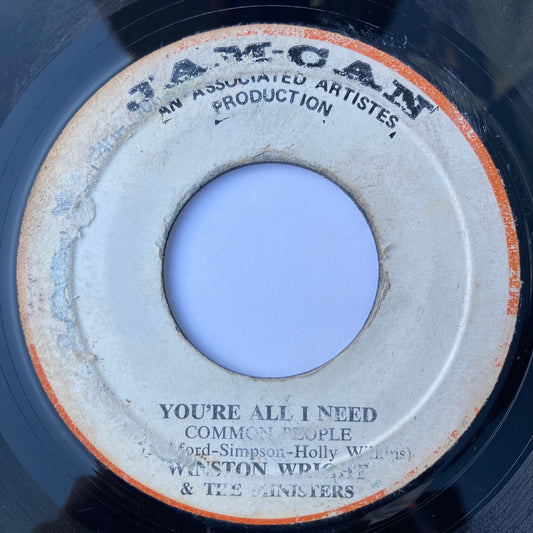 Dark Cafe / You're All I Need (Common People)