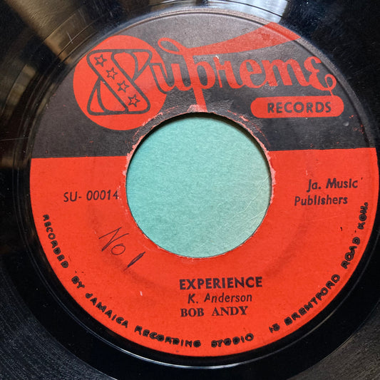 Experience / Let Them Say