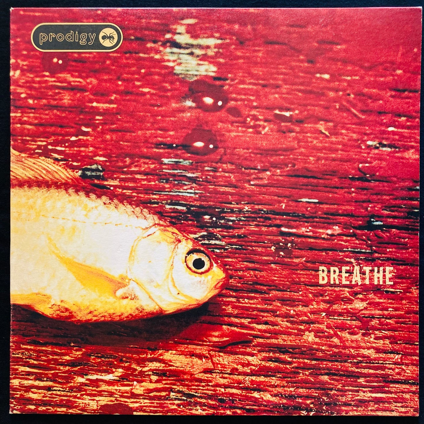 Breathe